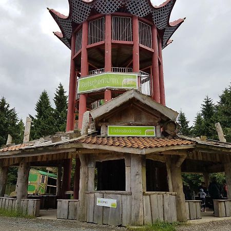 Ferienwohnung Harzlust Goslar Exteriör bild